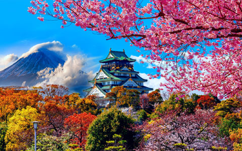 12 Days Discover Japan Tour